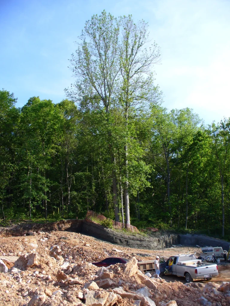 A tall tree stands on the edge of a cleared construction site surrounded by rocky ground. Several vehicles are parked nearby, and dense greenery borders the site in the background under a clear blue sky.